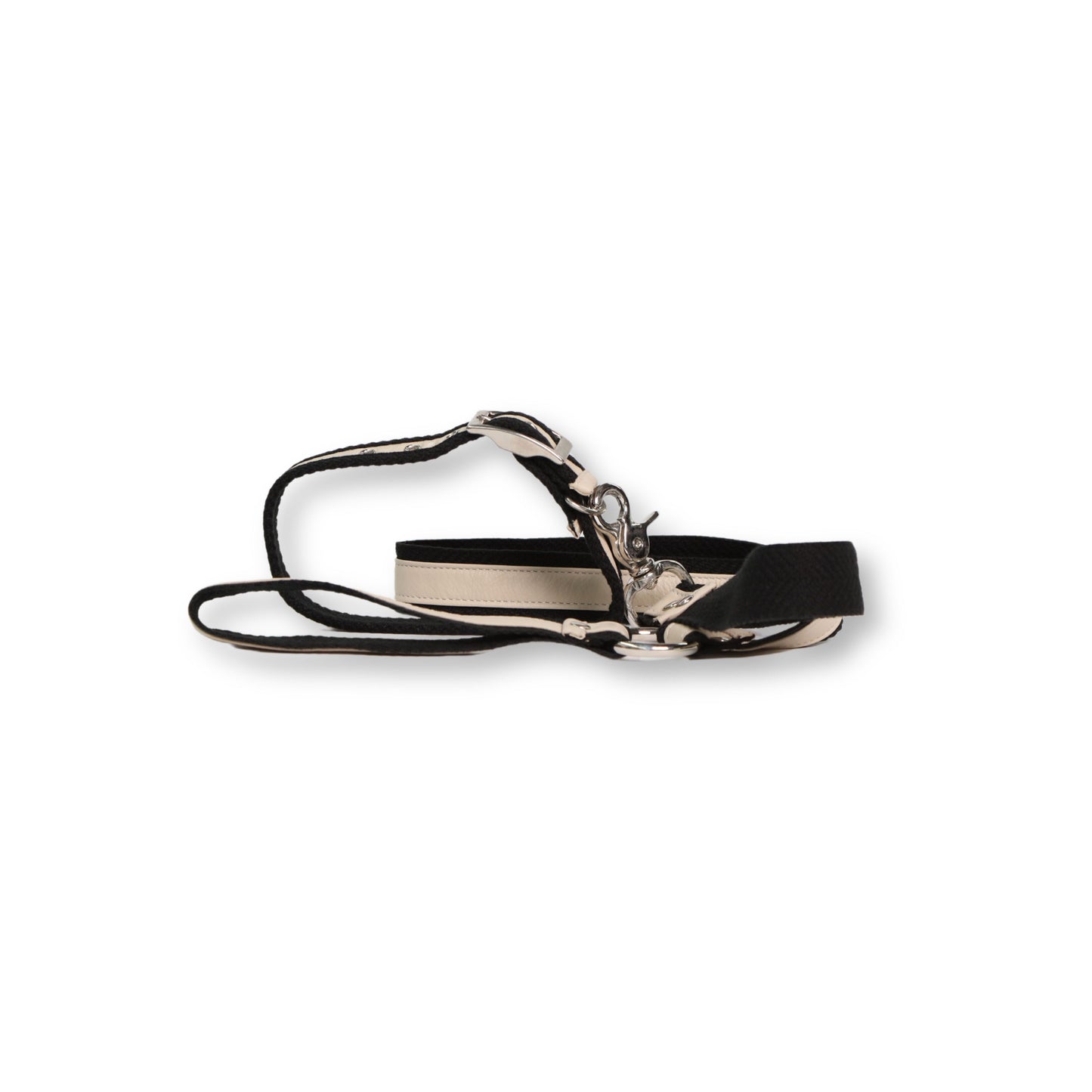 Village Dog Leash and Collar